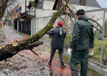 Municipio de Chillán activa teléfono de emergencia por sistema frontal