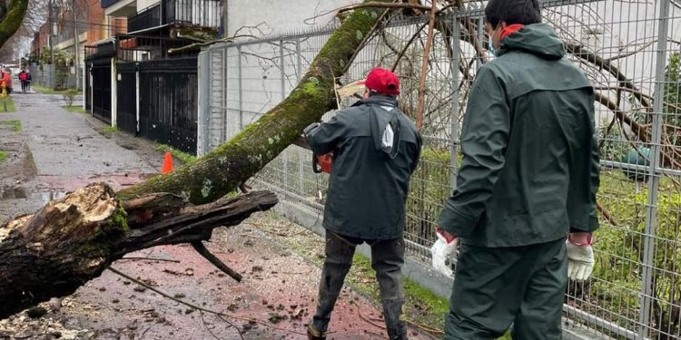 Municipio de Chillán activa teléfono de emergencia por sistema frontal