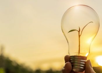 Pymes de Coihueco quieren avanzar en eficiencia energética