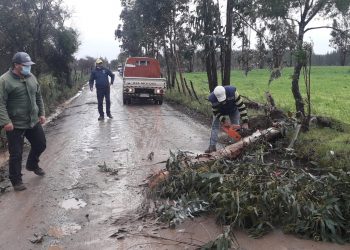Ninhue: Activan COE y disponen cuadrillas municipales por viento y lluvia