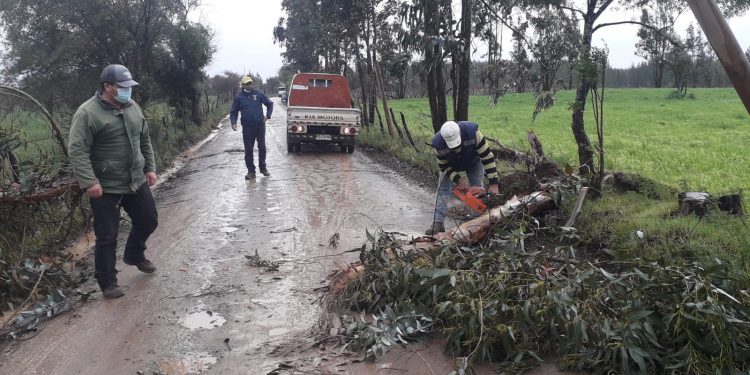Ninhue: Activan COE y disponen cuadrillas municipales por viento y lluvia