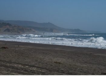 Niño de tres años muere al caer a estero en Cobquecura