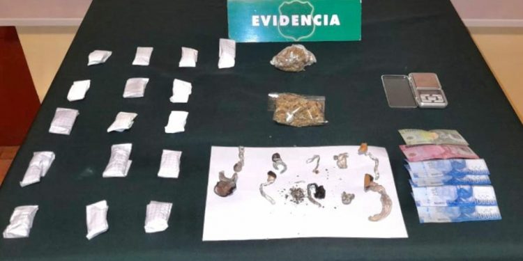 Pemuco: Detienen a sujeto que circulaba con marihuana y «cucumelo»