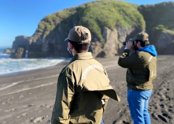 Extienden hasta el lunes búsqueda de desaparecidos en Cobquecura