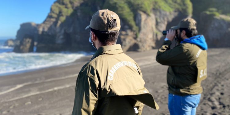 Extienden hasta el lunes búsqueda de desaparecidos en Cobquecura