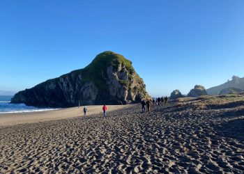 Cobquecura: En 12 días de búsqueda han participado más de 1.500 personas