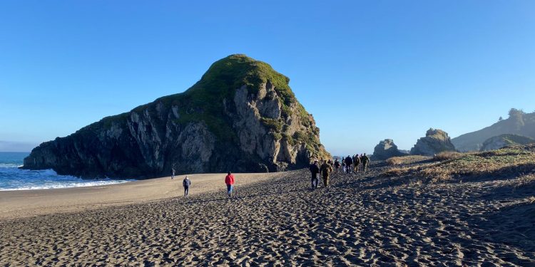 Cobquecura: En 12 días de búsqueda han participado más de 1.500 personas
