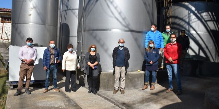 Itata: Cooperativa de vinos comercializa el total de su primera vinificación