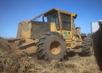 Más de 24 kilómetros de cortafuego ejecutará CONAF en Chillán Viejo