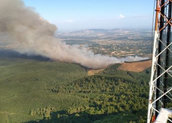 Ninhue: Al menos 150 hectáreas han sido consumidas por incendio forestal