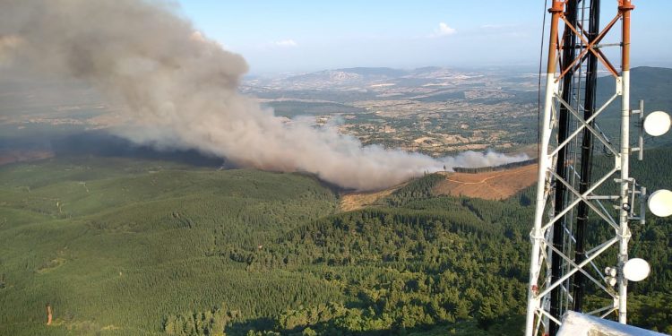 Ninhue: Al menos 150 hectáreas han sido consumidas por incendio forestal