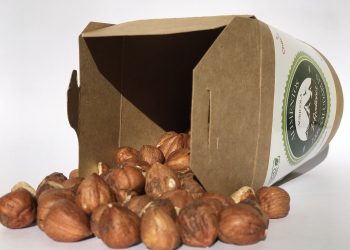 Crean en Ñuble la primera bebida chilena de avellanas orgánicas