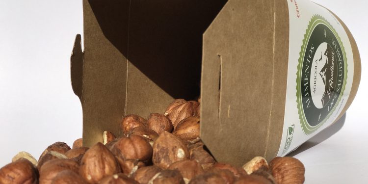 Crean en Ñuble la primera bebida chilena de avellanas orgánicas