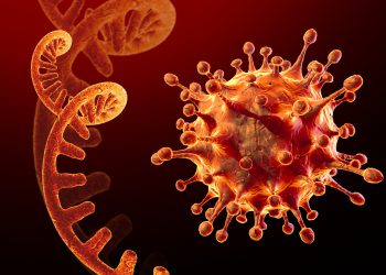 Los lineamientos para hacer frente a la variante Ómicron