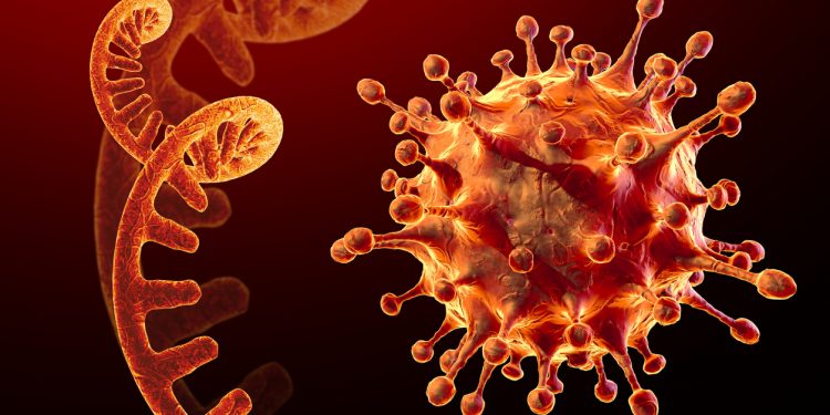 Los lineamientos para hacer frente a la variante Ómicron