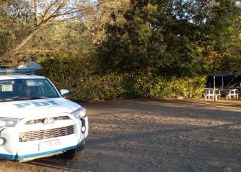 Mujer muere ahogada en piscina del Colegio de profesores de Ñuble