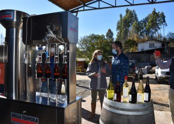 Indap lanza concurso por $180 millones para aumentar vinificación asociativa de Ñuble