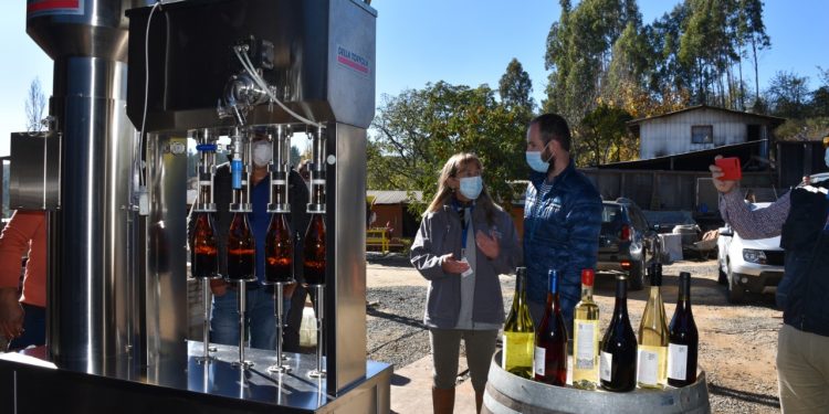 Indap lanza concurso por $180 millones para aumentar vinificación asociativa de Ñuble