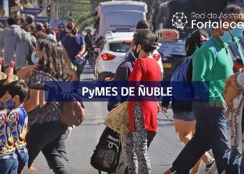 Avanza proyecto UBB que busca mejorar proceso de transformación digital de las pymes de Ñuble