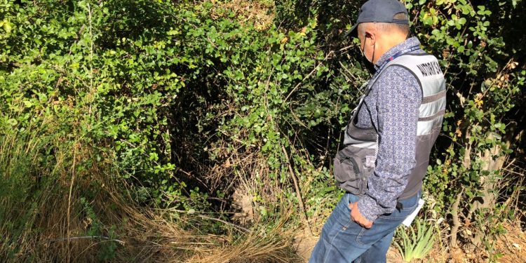 Inician sumario a Celulosa Arauco por afloramiento de líquido en ducto