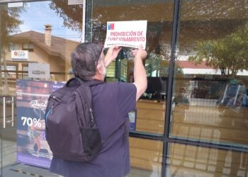 Prohíben funcionamiento de gimnasio en Chillán por presencia de murciélagos