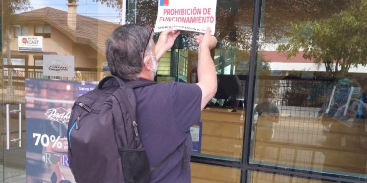 Prohíben funcionamiento de gimnasio en Chillán por presencia de murciélagos