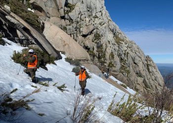 San Fabián: Carabinero sufre caída en cerro Malalcura en medio de búsqueda de joven extraviado