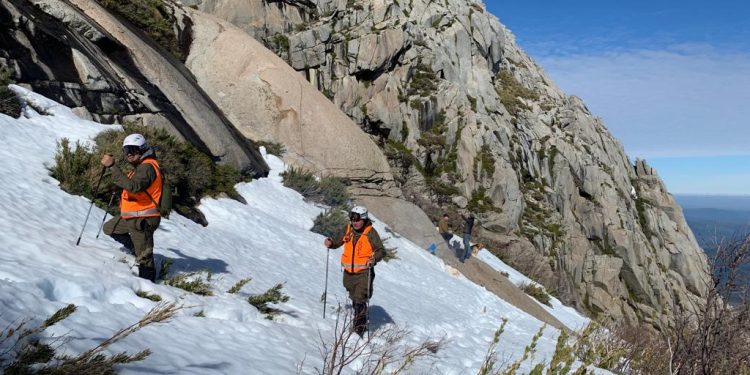 San Fabián: Carabinero sufre caída en cerro Malalcura en medio de búsqueda de joven extraviado