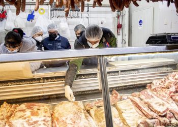 Seremi de Salud ha decomisado 10 mil 420 kilos de productos cárnicos