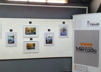 Positiva recepción tiene  exposición montada en Mercado Techado de Chillán