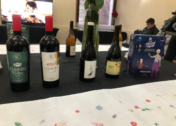 Viñateros y restaurantes se vinculan en didáctica cata de vinos