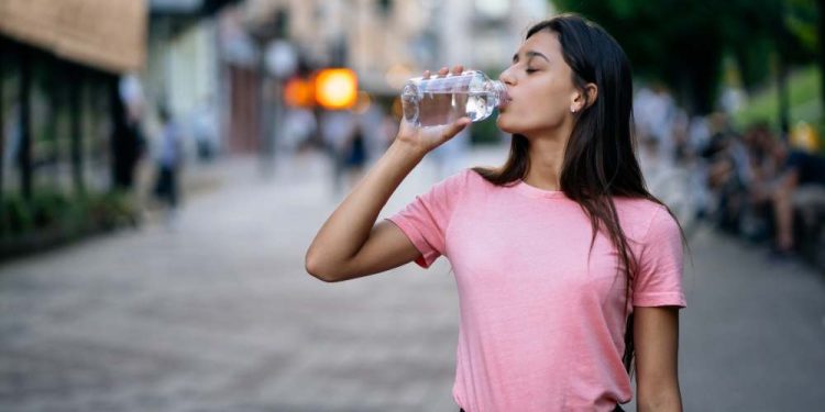 Altas temperaturas en Ñuble: ¿Cómo reconocer los golpes de calor? 