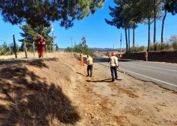 MOP concreta limpieza de faja y roce en más de mil km de rutas en Ñuble para prevenir incendios forestales