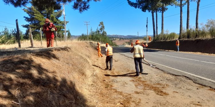 MOP concreta limpieza de faja y roce en más de mil km de rutas en Ñuble para prevenir incendios forestales