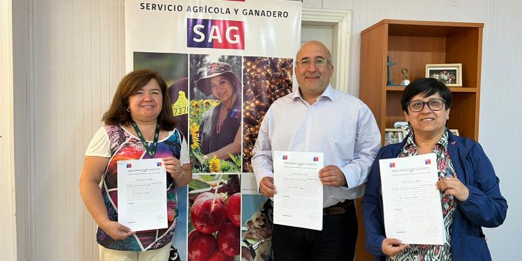 Seremi de Salud y SAG renuevan convenio para inspeccionar mataderos en Ñuble