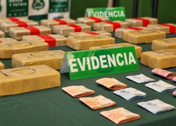 Decomisan 2.600 plantas de cannabis, 30 kilos de droga y detienen a tres personas en Ñuble