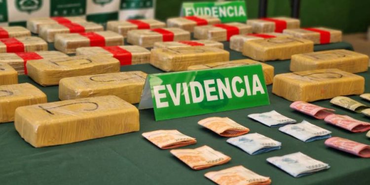 Decomisan 2.600 plantas de cannabis, 30 kilos de droga y detienen a tres personas en Ñuble