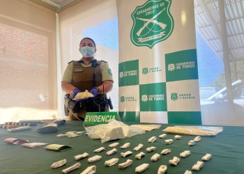 Carabineros detuvo en Ránquil a 2 personas que vendían droga y tenían armas