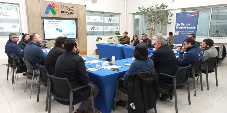 Más de $700 millones invertirá Sence en cursos regionales