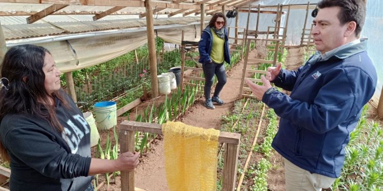 Bonos de riego benefician a 50 familias de Itata con inversión pública de $ 969 millones