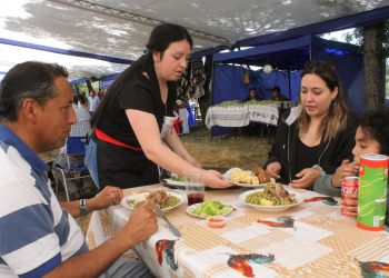 Quillón: Realizarán la quinta versión de la Fiesta del Arvejado de Campo