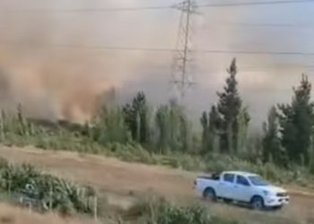 Yungay: Incendio forestal ha consumido hectáreas, galpones y techumbre de vivienda
