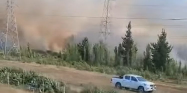 Yungay: Incendio forestal ha consumido hectáreas, galpones y techumbre de vivienda