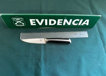 Formalizan a mujer que robó en óptica del centro de Chillán: Tiene 25 detenciones anteriores