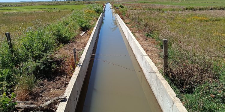 CNR y regantes de Ñiquén inauguran revestimiento del Canal Bustos