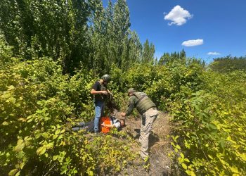 Detienen a sujeto que huyó de control vehicular y que portaba 435 mil dosis de drogas