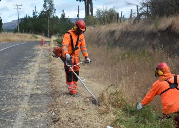 Limpian más de 2.500 kilómetros de fajas viales en Ñuble para reducir riesgo de incendios forestales