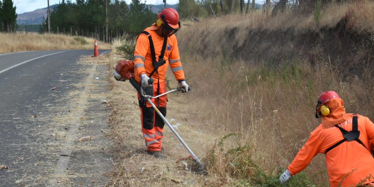 Limpian más de 2.500 kilómetros de fajas viales en Ñuble para reducir riesgo de incendios forestales