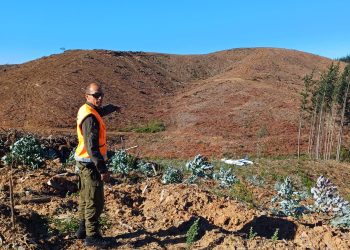 Dos fallecidos deja caída de avioneta en Trehuaco