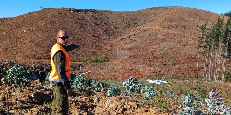 Dos fallecidos deja caída de avioneta en Trehuaco